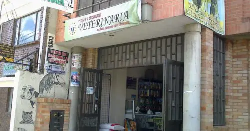 VETERINARIA DRA GOMEZ CAJICA BOGOTÁ VETERINARIA DRA GOMEZ CAJICA BOGOTÁ